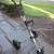 Golf Cart- Bag Boy LT 450 Aluminum Pull Cart- EX. CONDITION! 8 thumbnail