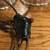 Pair Crystal Boudoir lamps patent 1927  Needs attention 2 thumbnail