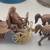 Antique Cast Iron Horse Drawn Carriage Toy 2 thumbnail
