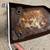 87 Honda CMX 250 CMX250 Rebel left side chrome cover 10 thumbnail