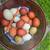 Soy free eggs 1 thumbnail