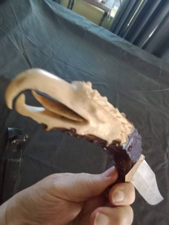 Eagle head knife 1