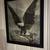 Handsome Eagle Print 2 thumbnail