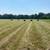 Hay Round Bales 2 thumbnail