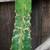 LARGE CACTUS PLANT  has thorns 2 thumbnail