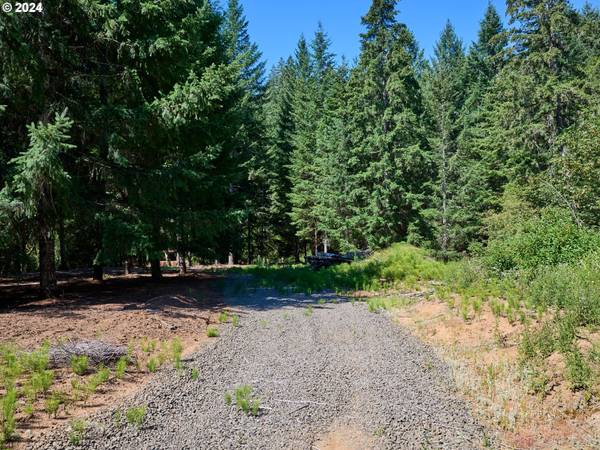 $260,000 Willamina Lote Plano de 4.4 Acres para Construir y 10 Acres de Madera Repoblada (Willamina)63620943296001122