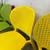 Set of 4 Article Dot Outdoor Stackable Dining Chairs - Citrus Green & Sun Yellow 3 thumbnail
