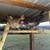 Pullets and quail cage for sale 4 thumbnail