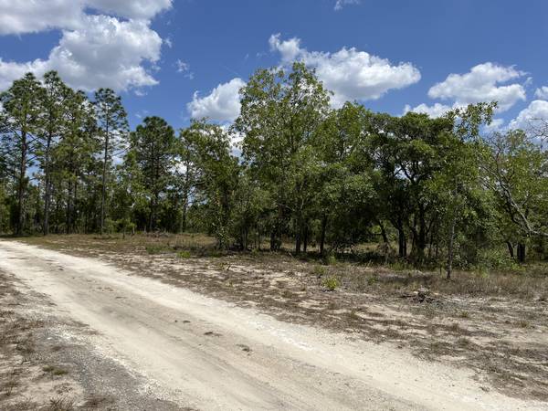 $185,000 10 Acres Land For Sale  - Levy County (Dunnellon, FL)63901320646786123