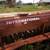 Farm implement 6 thumbnail