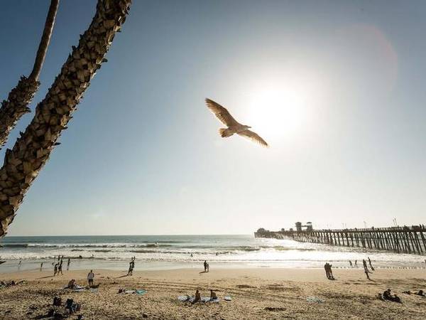 $4,336 / 2br - 1017ft2 - Two Lounge areas with firepits, Game area with artificial turf (Downtown Oceanside)63663888948609124