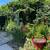1081 Harrison Ave 12 thumbnail