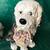 A group of porcelain dog figurines 2 thumbnail