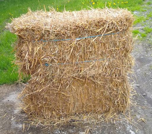 rye straw 1