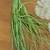Artificial indoor plant decor 10 thumbnail