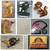 University of Minnesota Football Memorabilia 15 thumbnail