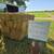 🍂 Fall Decor: Mini Straw Bales, Corn Stalks & Indian Corn 🎃 5 thumbnail