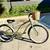 Electra Olive 3 Speed Cruiser With Electra Removable Basket 1 thumbnail