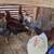 Chickens/Roosters for sale 1 thumbnail
