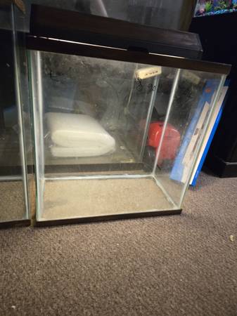 Masny  fish tank's and reptile tank's available (Lynn)63840149837059120