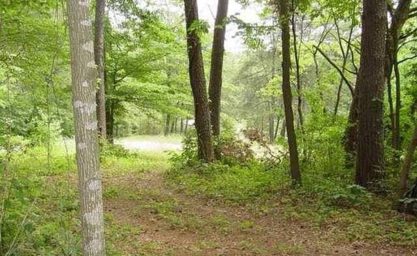 $119.900, increíbles 7 acres en venta (reducido 10 mil) (Nancy, KY (Willow Oaks))63470403419011124