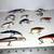 22 Crank Bait Fishing Lures 20 thumbnail