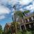 BENAVIDES LANDSCAPING & TREESERVICES 24 thumbnail