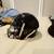 Riddell Speedflex Youth Large Helmet 1 thumbnail