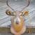 deer head 2 thumbnail