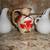Lot Of 6 Vintage Souvenir Pitchers, Various Places 5 thumbnail