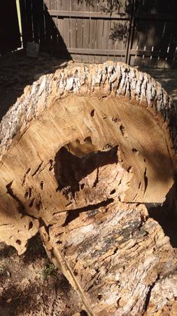 Unique wood outside decoration 1