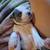 Bully pups 3 thumbnail