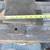 3 Handmade Damascus Knives, your choice of 1, $45.00 each. 7 thumbnail