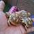 Leopard Tortoises 2 thumbnail