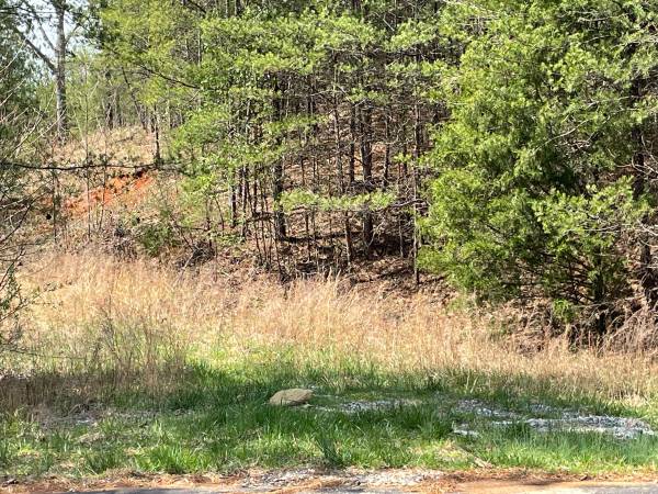 $175,000 GATED COMMUNITY- 2 ACRES WITH LAKE VIEWS (Madisonville)63815667721347124