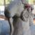 Set of 3 Egyptian two-headed ram Amun-Ra deity wood sculpture statue 14 thumbnail