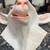 Goat head mask 3 thumbnail