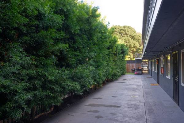 $2,100 / 1br - 600ft2 - Oakland - conveniently located renovated 1 bedroom unit, second floor (oakland east)64049801548289122