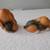 Beagle / Basset Hound Figurines (Set of 2) 3 thumbnail