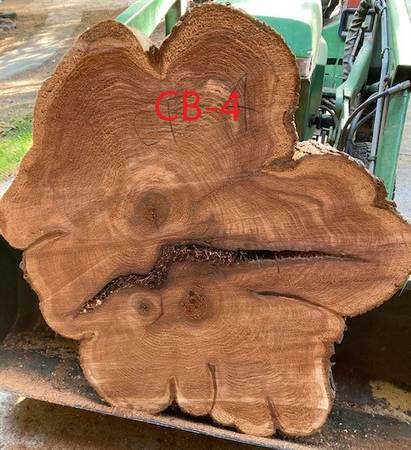 AMAZING Cedar "Rounds" 1