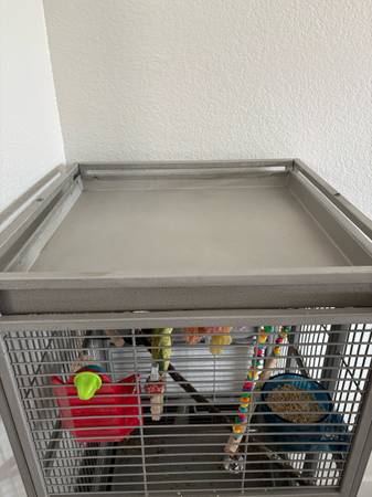 Jaula para pájaros (North Las Vegas)63860183098241122