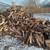 Seasoned Firewood for Sale in Berkeley Heights - Ash/Oak Self Service 2 thumbnail