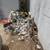 JUNK REMOVAL/TRASH PICKUP/HAULING SERVICE/TRASH REMOVAL/DEMOLITION 3 thumbnail