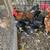 Chickens 1 and 1/2 year old 20 each 3 thumbnail
