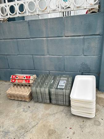 Egg cartons 1
