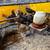 Chickens 11 thumbnail