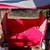 RADIO FLYER FOLDABLE DROP-SIDE WAGON WITH CANOPY - ALLNEW 10 thumbnail