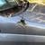 2016 DODGE CARAVAN 11 thumbnail
