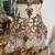 Vintage Brass Candlestick Lamp with Handmade Decorative Shade (#228) 2 thumbnail