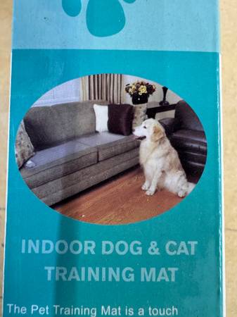 Electronic Training Mat 1